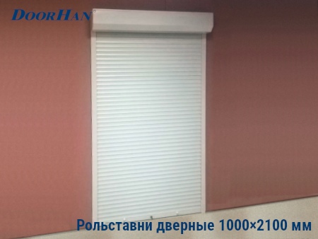 Рольставни на двери 1000×2100 мм в Астрахани от 27082 руб.