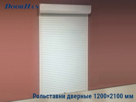 Рольставни на двери 1200×2100 мм в Астрахани от 29831 руб.