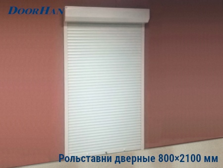 Рольставни на двери 800×2100 мм в Астрахани от 24332 руб.